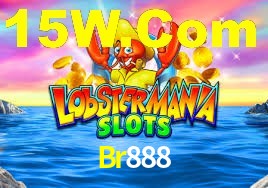 Programa VIP Br888